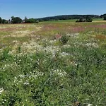 Im Naturschutzgebiet * Hiddenhausen