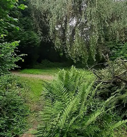 Im Naturschutzgebiet Appartement