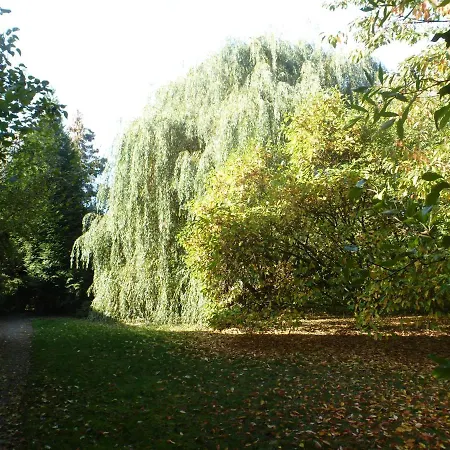 Im Naturschutzgebiet Apartament *