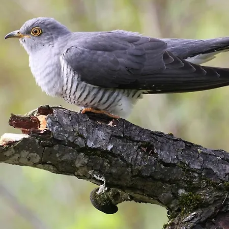 Appartement Im Naturschutzgebiet Hiddenhausen