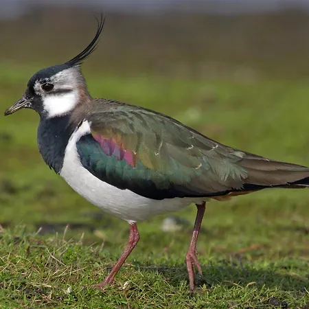 Im Naturschutzgebiet * Hiddenhausen