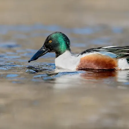 Im Naturschutzgebiet *