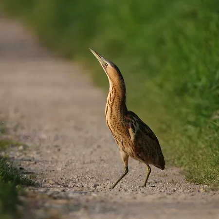 Appartement Im Naturschutzgebiet *