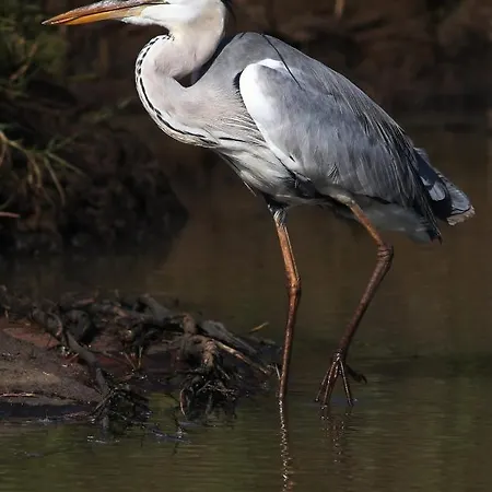 Im Naturschutzgebiet * Hiddenhausen