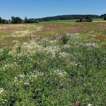Im Naturschutzgebiet * Hiddenhausen