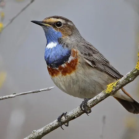 Im Naturschutzgebiet Appartement Hiddenhausen