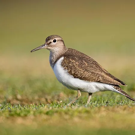 Im Naturschutzgebiet * Hiddenhausen