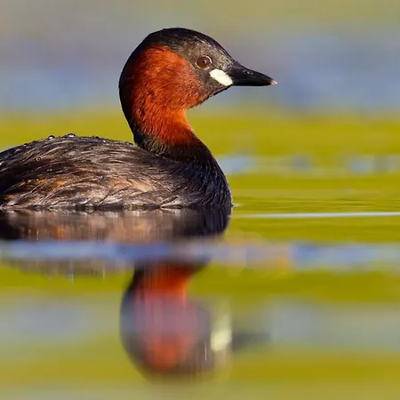 Apartman Im Naturschutzgebiet