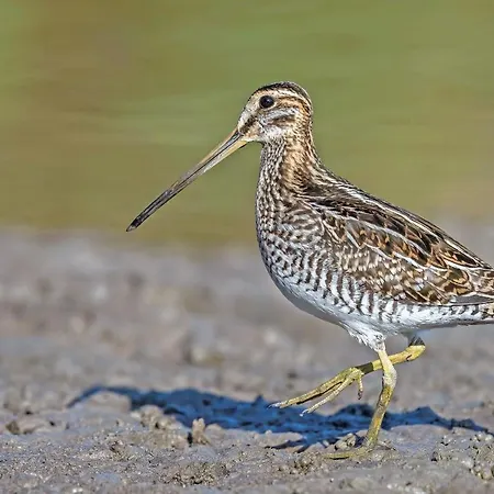 Appartement Im Naturschutzgebiet *