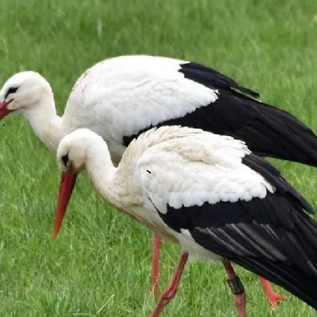 Im Naturschutzgebiet Appartement Hiddenhausen