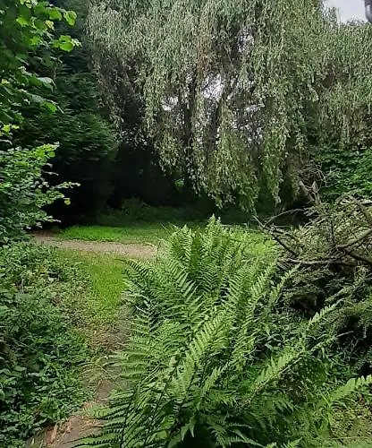 Im Naturschutzgebiet Lägenhet