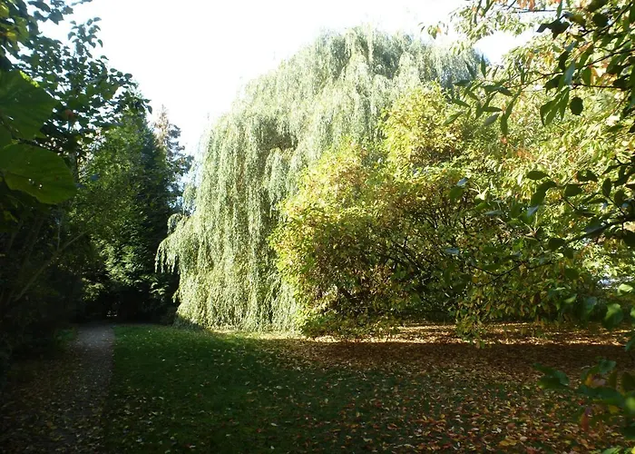 Im Naturschutzgebiet Lägenhet *