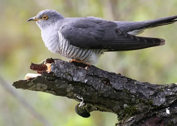 Lägenhet Im Naturschutzgebiet Hiddenhausen