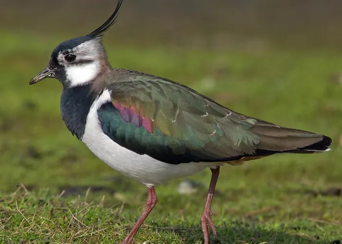 Im Naturschutzgebiet * Hiddenhausen