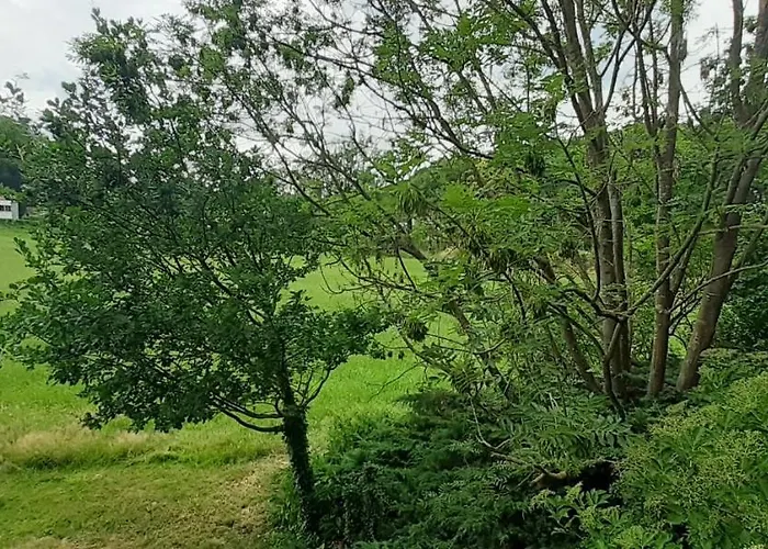 Im Naturschutzgebiet *