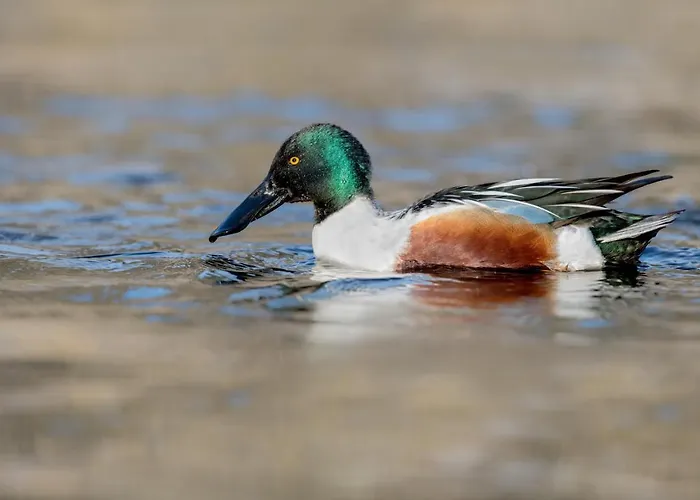 Im Naturschutzgebiet *