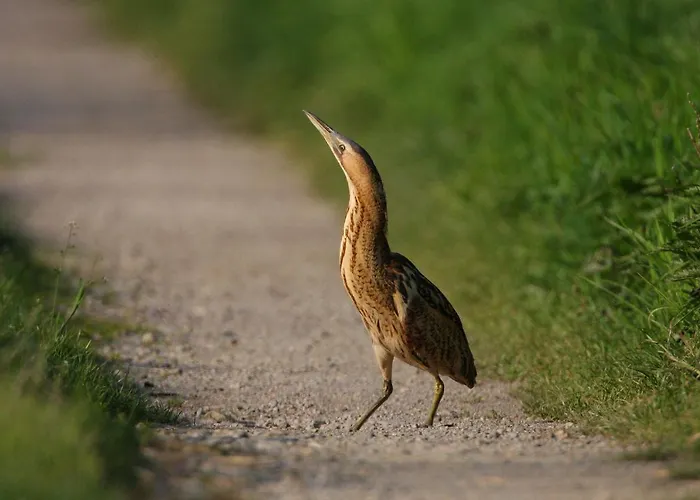 Lägenhet Im Naturschutzgebiet *