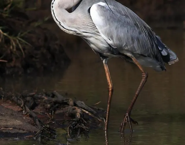 Im Naturschutzgebiet * Hiddenhausen