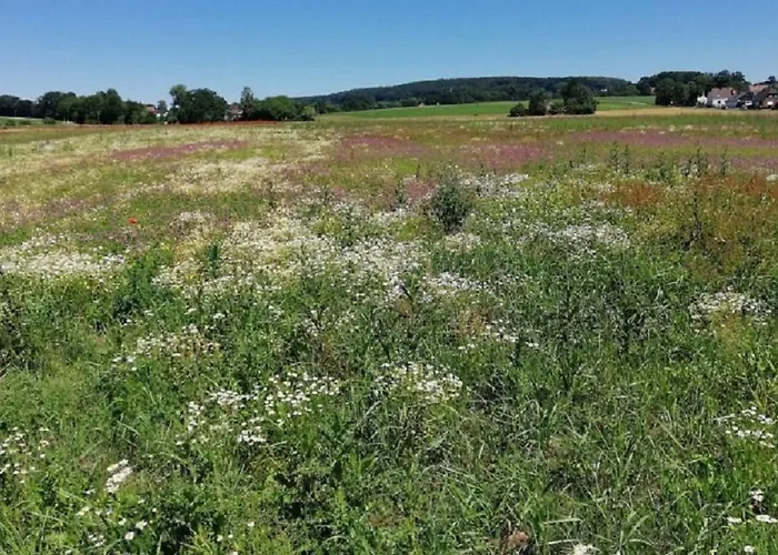 Im Naturschutzgebiet * Hiddenhausen