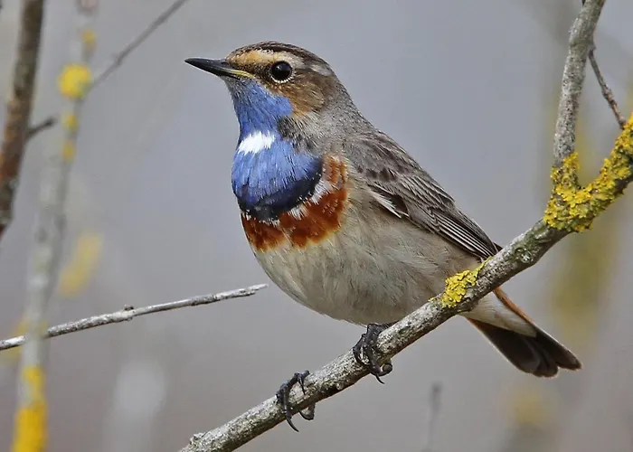 Im Naturschutzgebiet Appartement Hiddenhausen