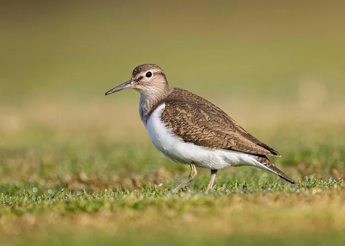 Im Naturschutzgebiet * Hiddenhausen