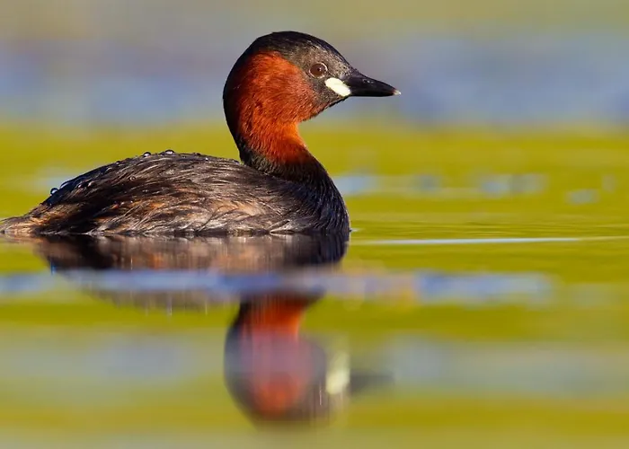 Lägenhet Im Naturschutzgebiet