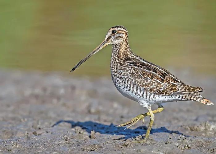 Lägenhet Im Naturschutzgebiet *