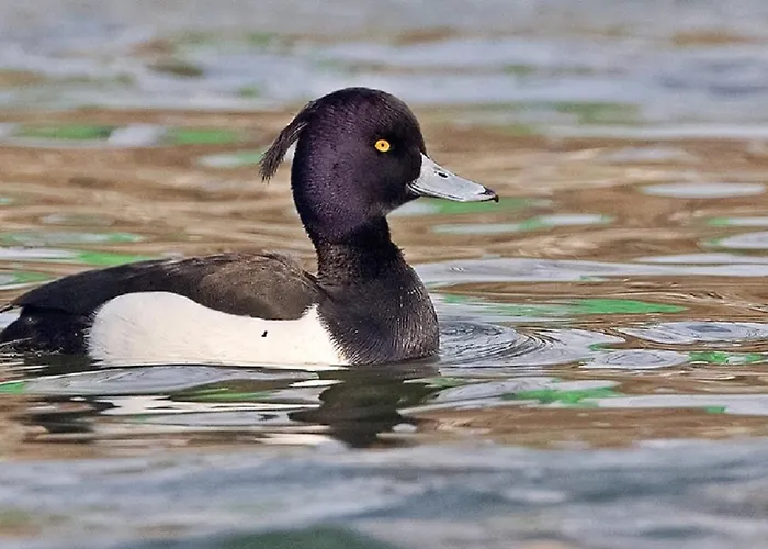 Lägenhet Im Naturschutzgebiet